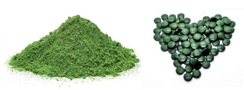 Hoeveel Chlorella gebruiken