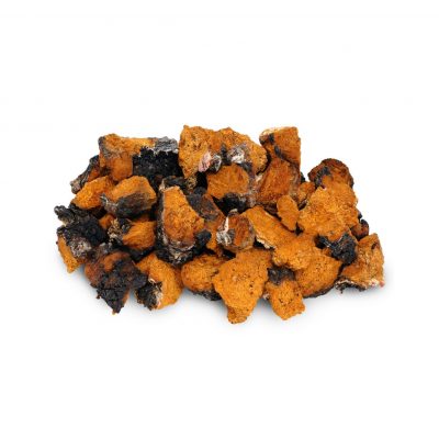 Chaga