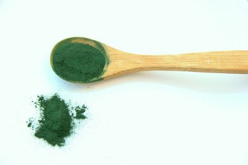 spirulina alg