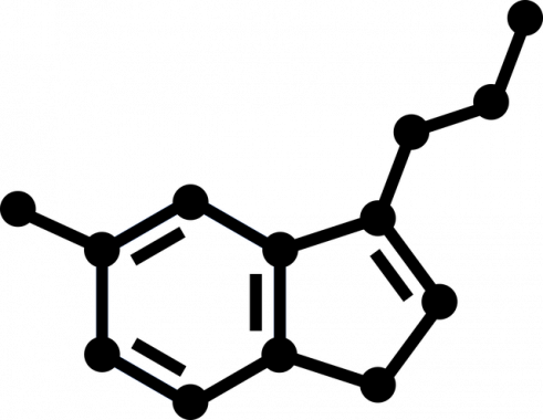 serotonine