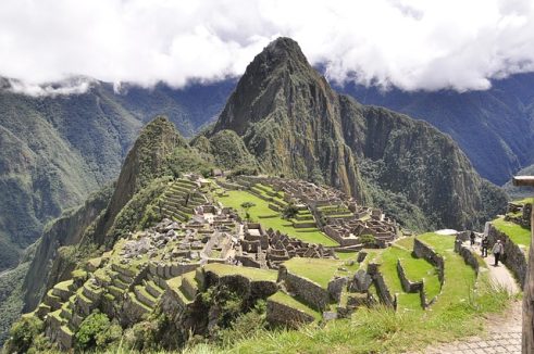 Maca uit de Andes