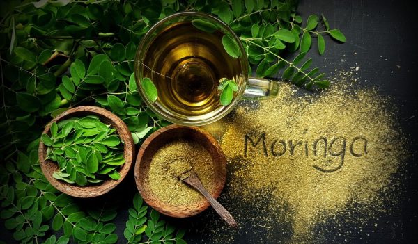 Wat is Moringa