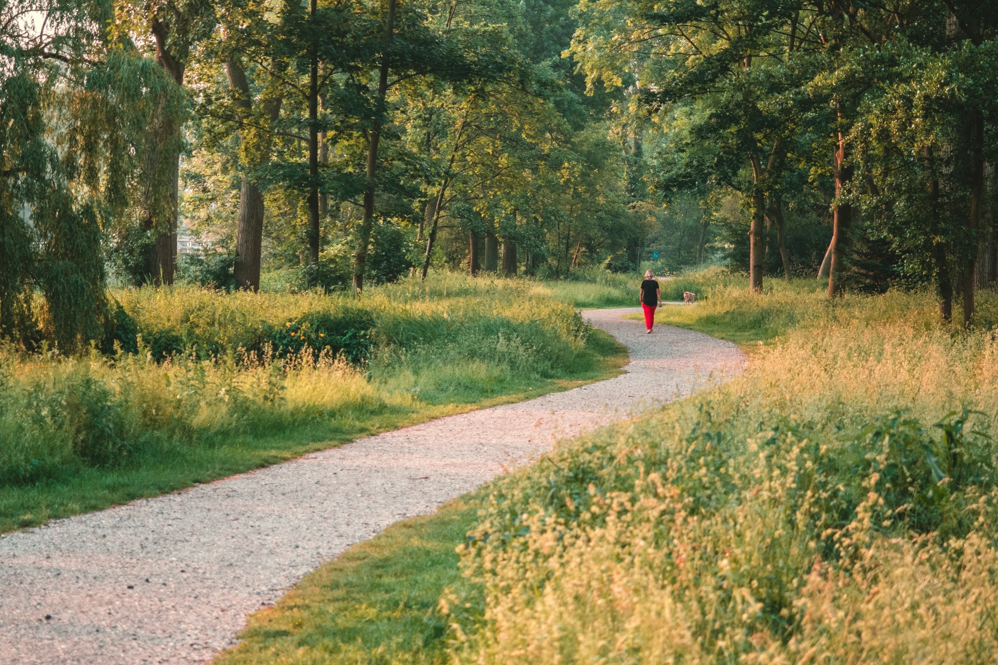 wandeling in de natuur